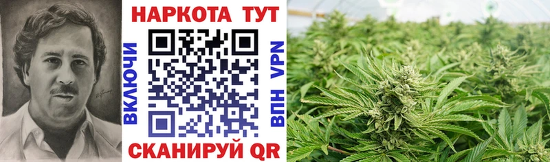 Наркошоп купить Гашиш  Метадон  Мефедрон  Бошки Шишки  Псилоцибиновые грибы  Тавда