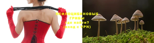 сатива Майский