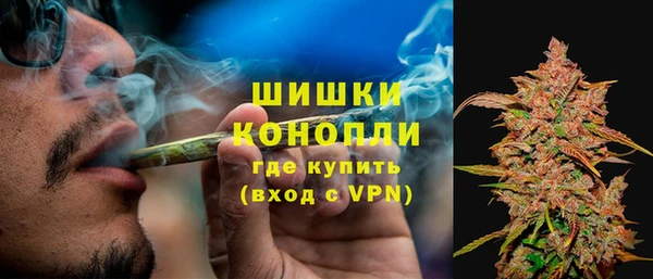 сатива Майский