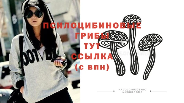 кокс Магас