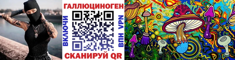 Купить где  Тавда  Галлюциногенные грибы Cubensis 